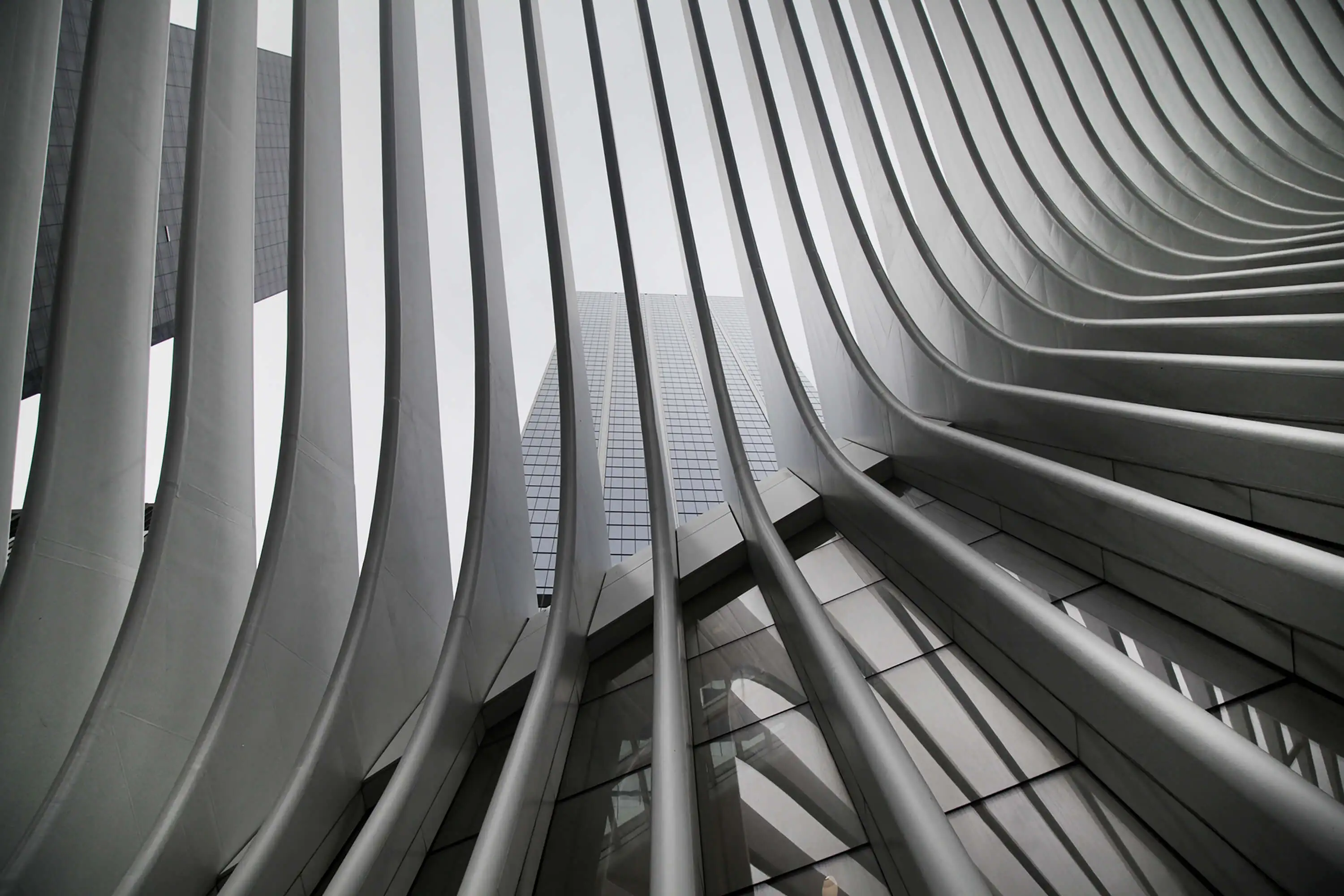A beautiful black and white upshot of New York City Subway's WTC Cortlandt station also known as Oculus Architektonische Dynamik und Struktur als Symbol für Executive Search mit Heinrich & Coll.